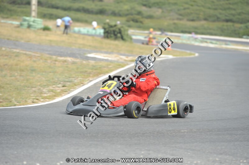 DSC (3441).JPG